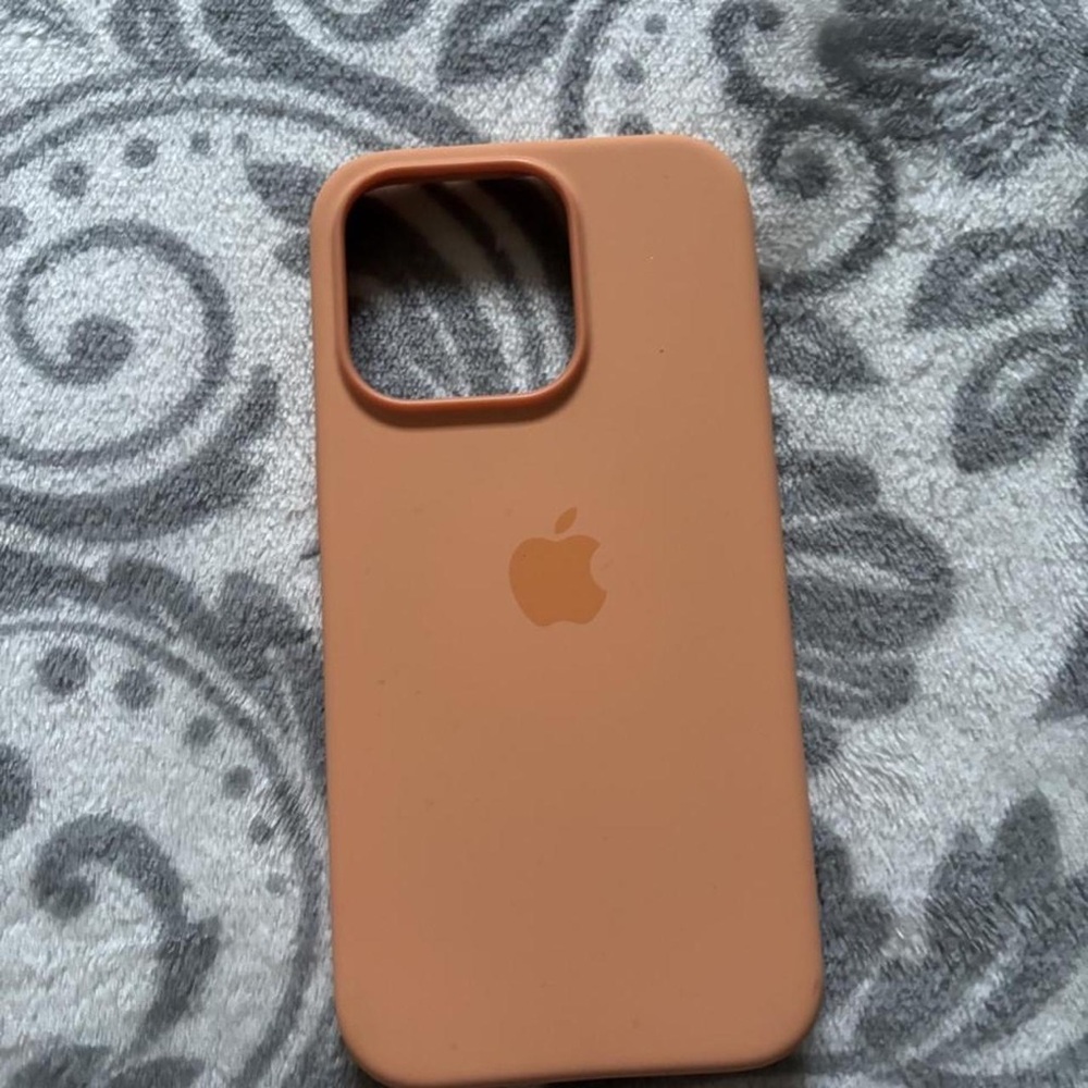 Apple Silicone iPhone Case in Terracotta Orange